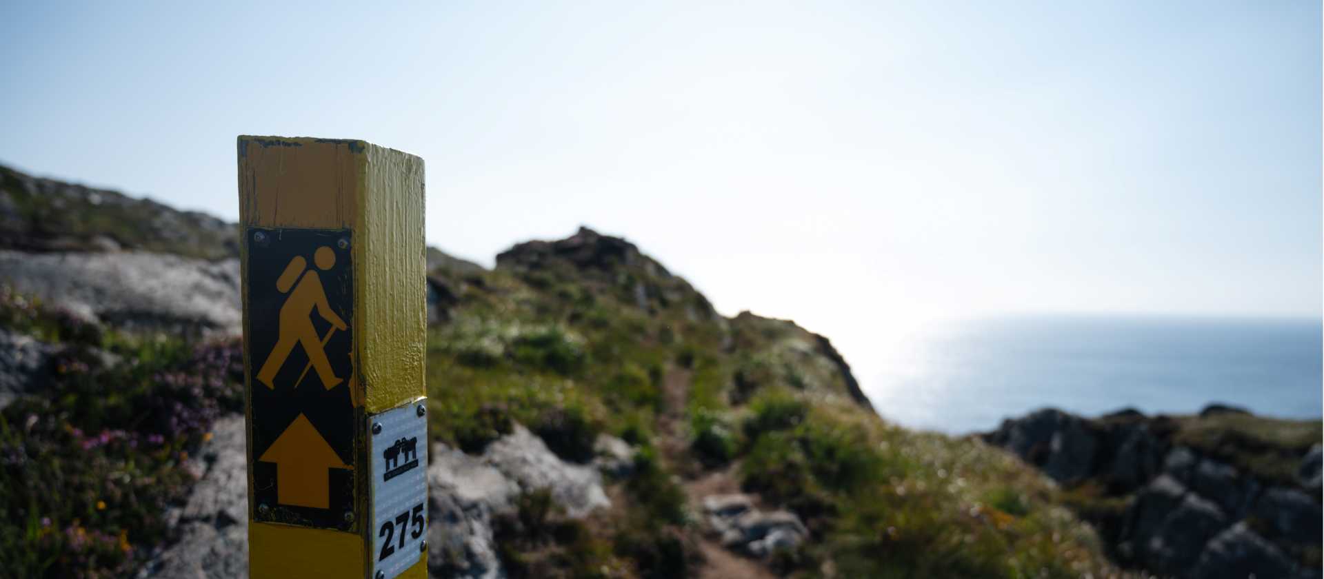 Sheep's Head Waymark | Joshua McMichael