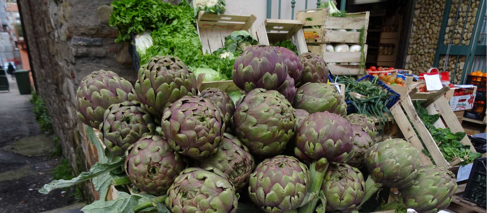 Italian Artichokes | John Millen