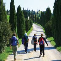 Walking up to the Crete Senesi