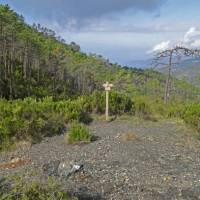 Forest junction up on the path around Monte Malpertuso | John Millen