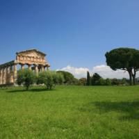 Paestum, temple (Cilento) | John Millen