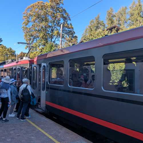 The train  take you back to Collalbo  rom the day 5 walk