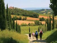 Cypress Avenue near Montalto |  <i>John Millen</i>