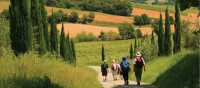 Cypress Avenue near Montalto | John Millen