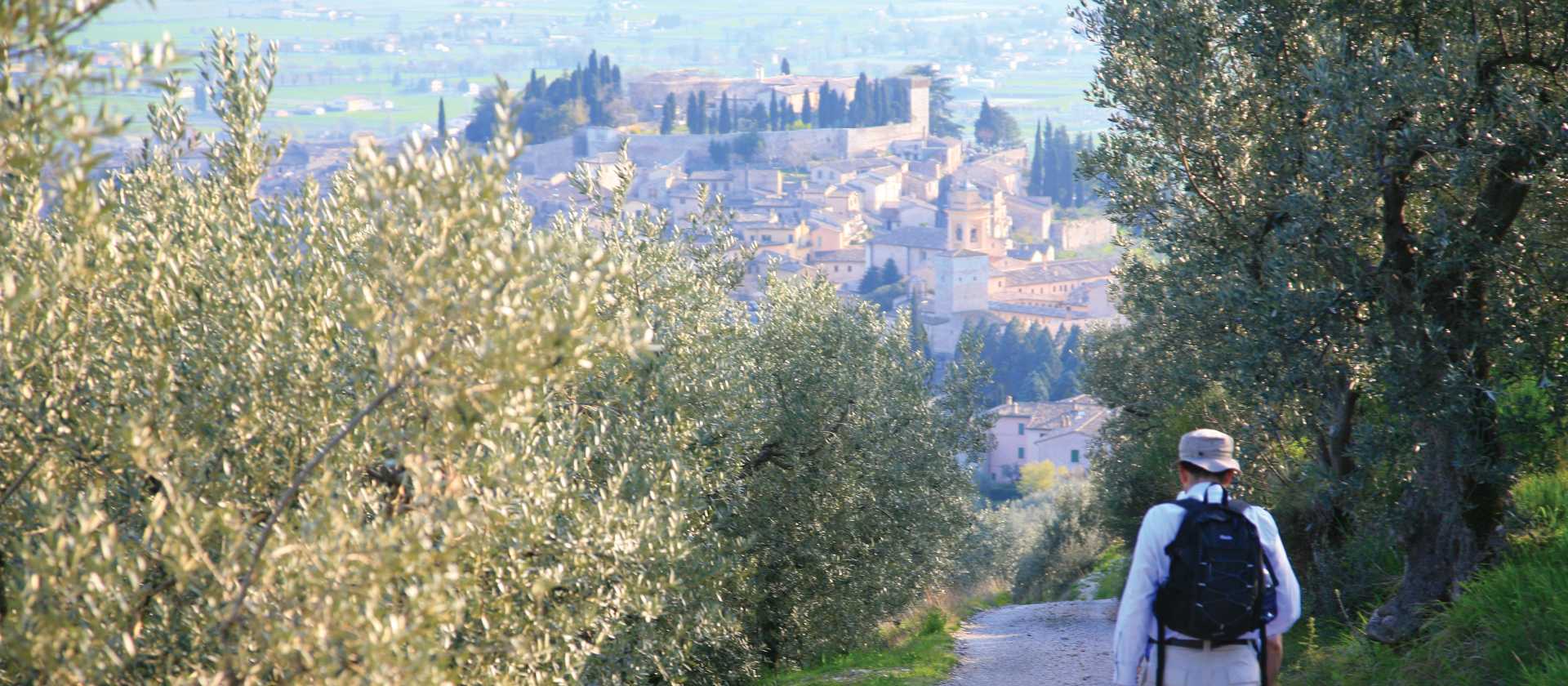 Above Spello