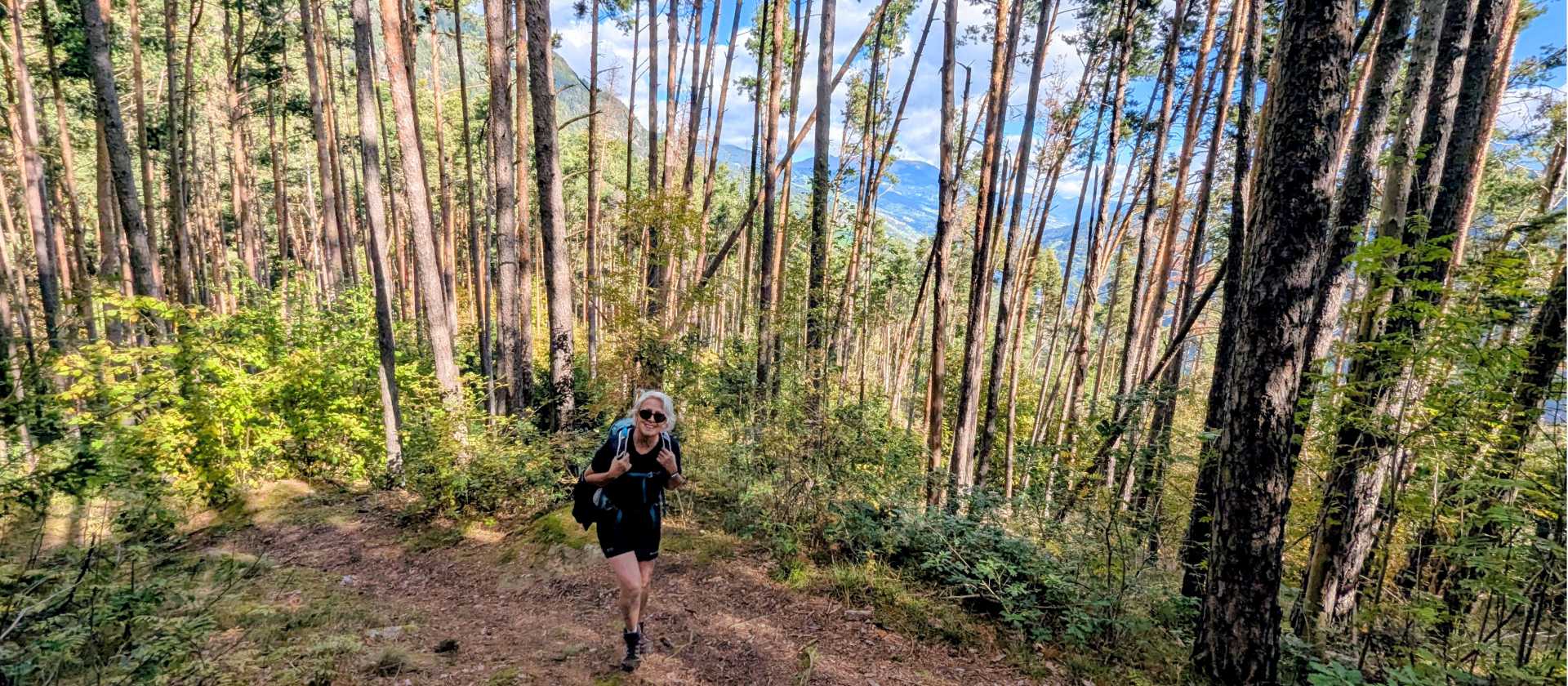 Typical woodland walking | John Millen