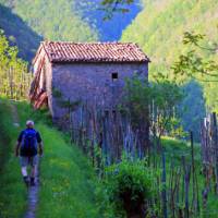 Walking out of Fornovolasco, Italy | John Millen