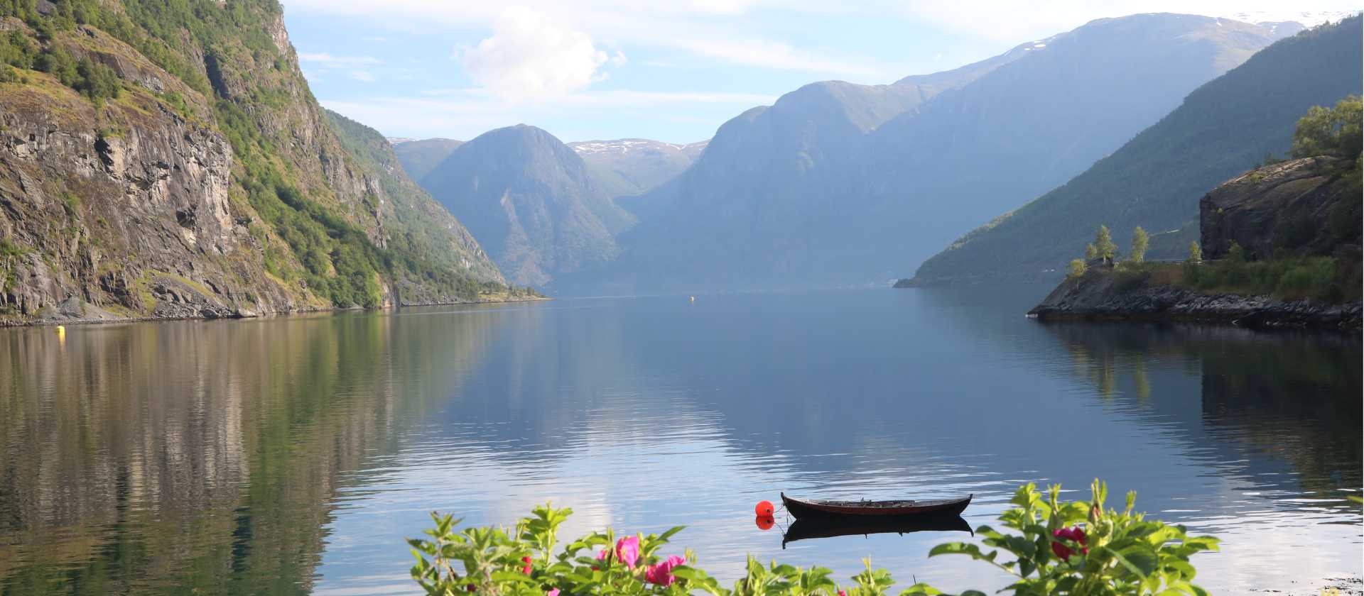 Aurlandsfjord | John Millen