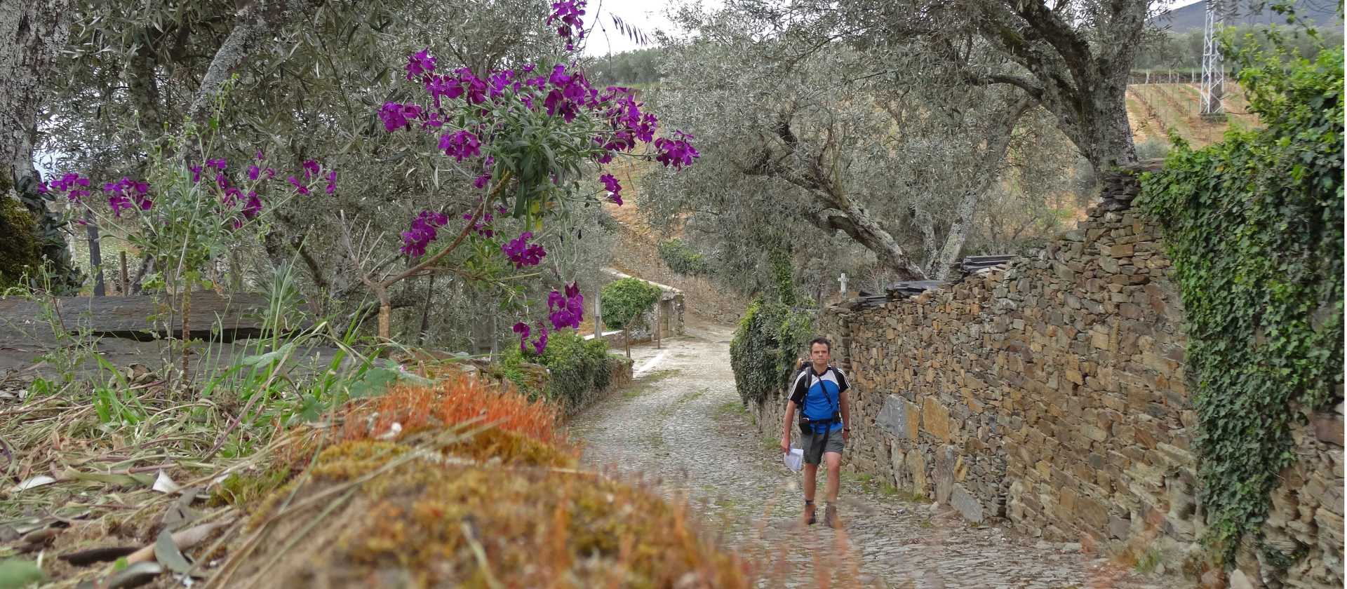 Rambling in the Douro Valley