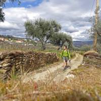 A hiker takes in the scenery of the Douro Valley