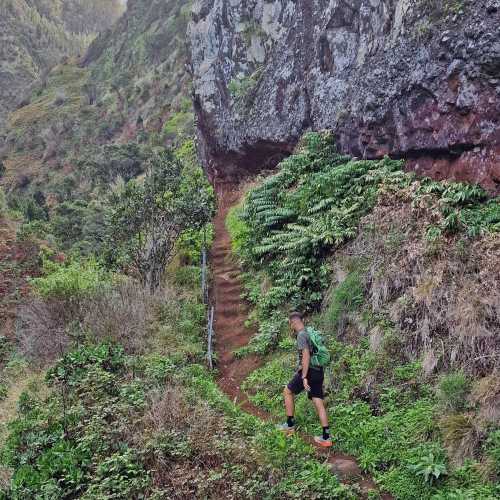 Hiking in West Madeira Summit Pico Ruivo Swim in Lava Pools