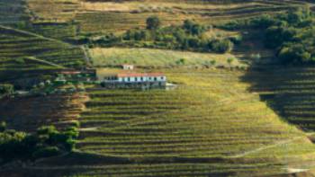 A quinta amidst the terraced Douro vineyards