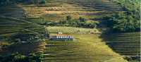 A quinta amidst the terraced Douro vineyards | Andre Carvalho