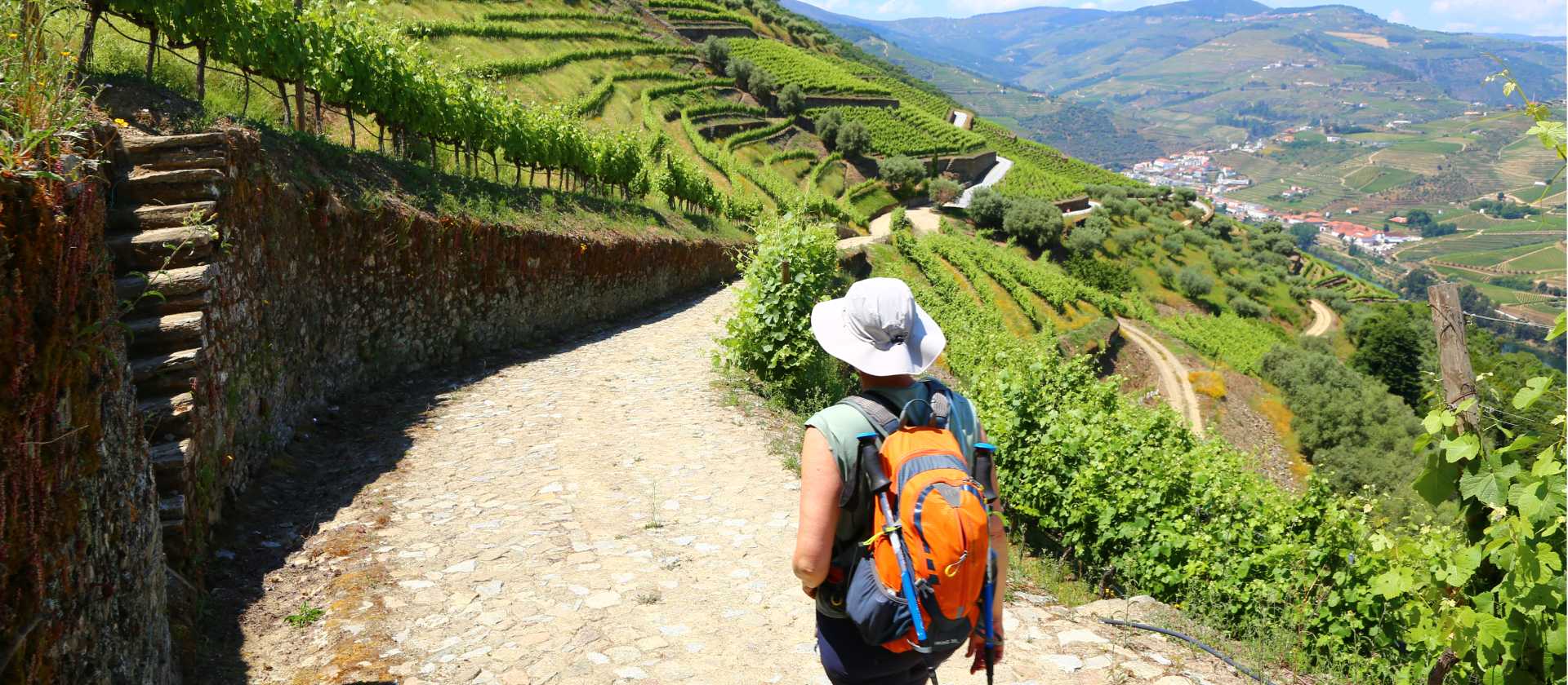 Hiking in the Douro Valley