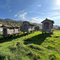 Ancient Grain Stores - Espigueros - Lindoso, Peneda Geres National Park | Fiona Marshall