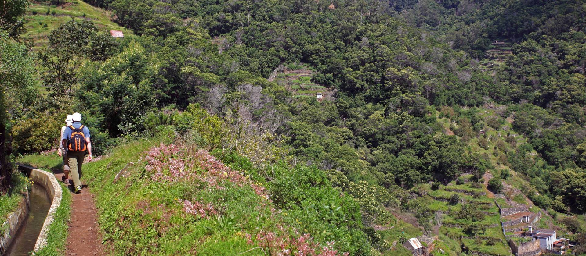 Madeira Walking Holidays Hiking Levadas Active Portugal Tours