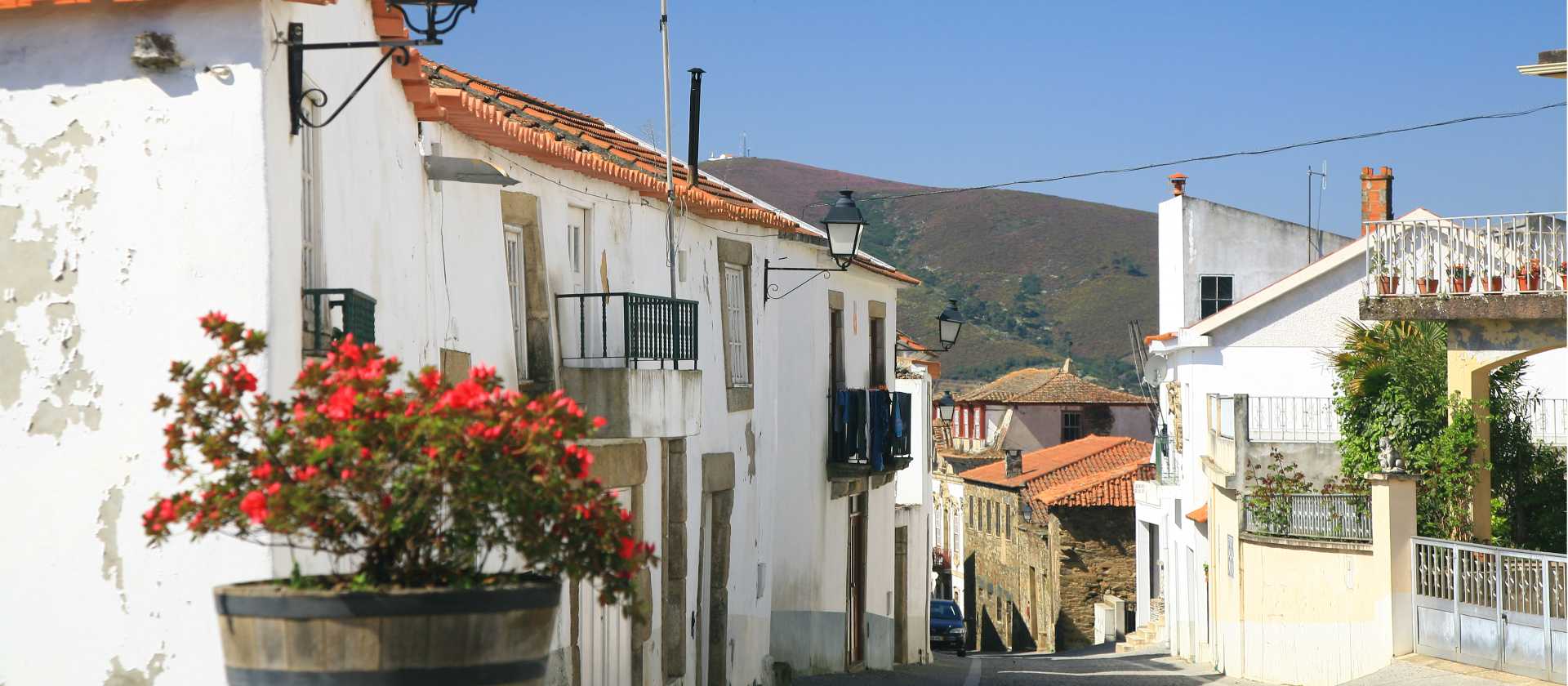 The beautiful village of Provesende
