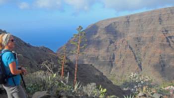 A walker takes in the view above Valle Gran Rey