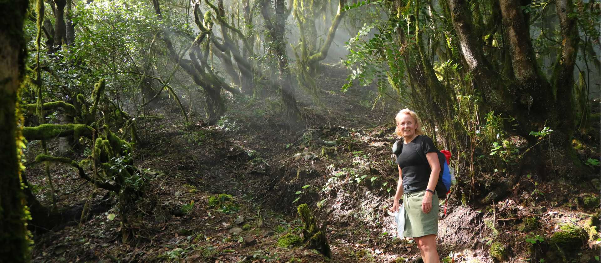 A hiker in the forest below Bar La Vista | John Millen