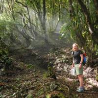 A hiker in the forest below Bar La Vista | John Millen