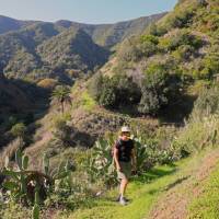 Start of the ascent to Chipude, La Gomera | John Millen