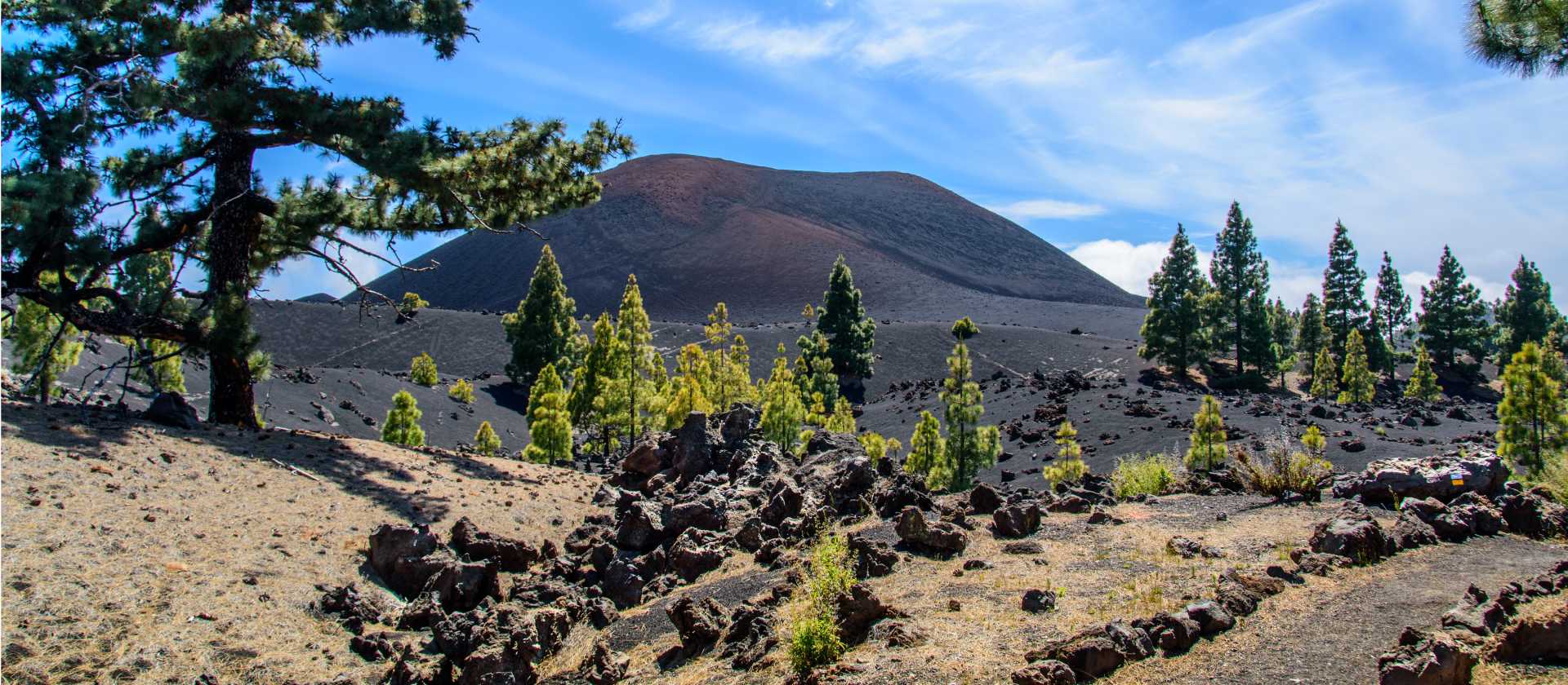 Hike down from Chinyero Volcano in Tenerife | Cornelia Schneider-Frank