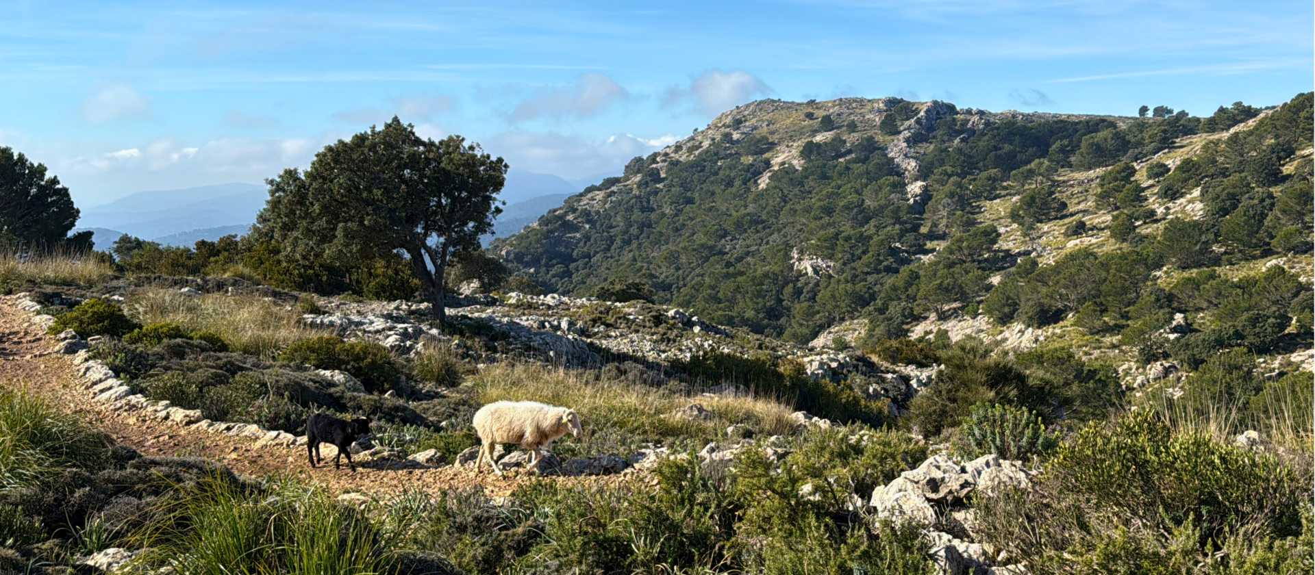 Hiking through the Spanish island of Majorca in stunning weather. | Kate Baker