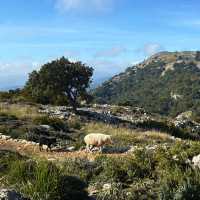 Hiking through the Spanish island of Majorca in stunning weather. | Kate Baker