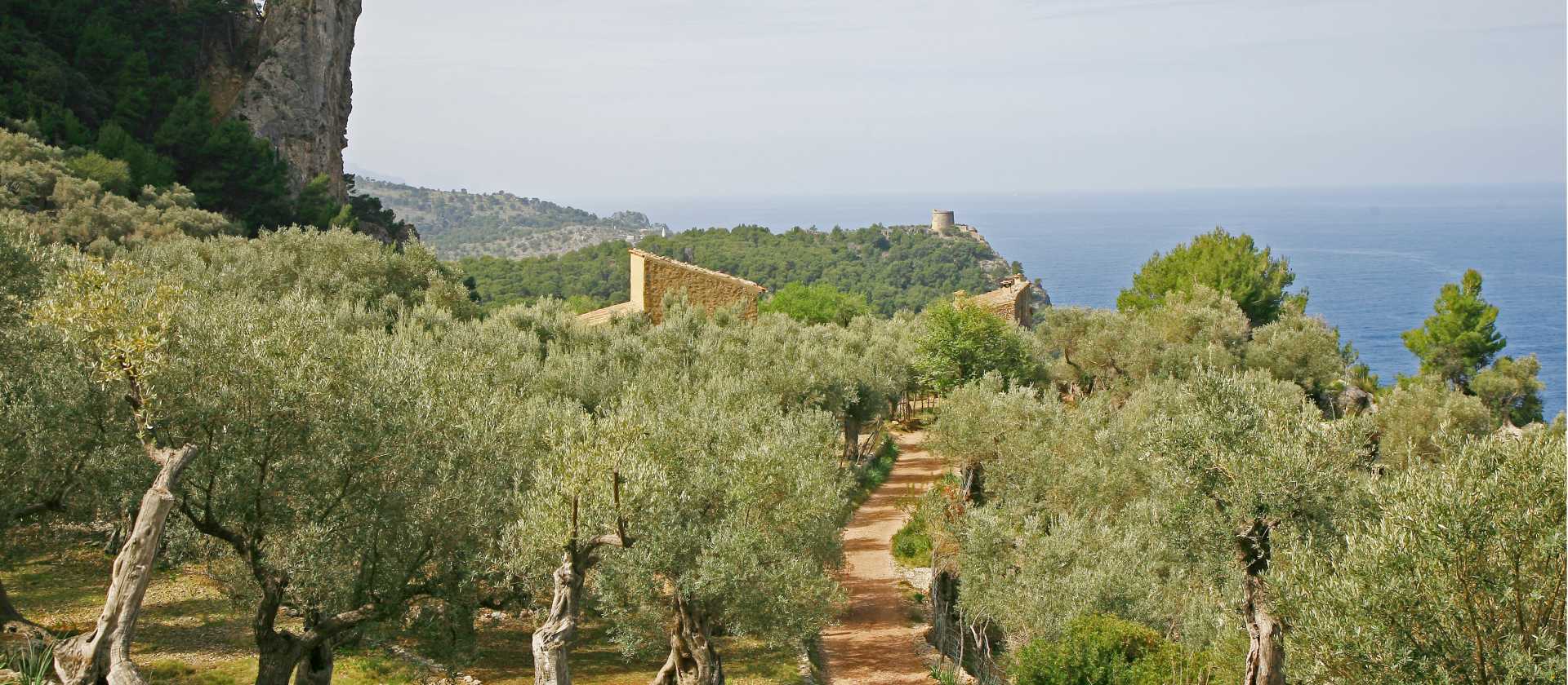 Approaching the bay around Penyal Bernat rock