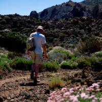 Walking in the Mount Teide National Park