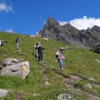 Descending  towards Busalp | John Millen