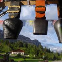 Cowbells in the Swiss Alps | Go hiking in the Alps