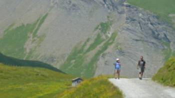 P1050881 copy,John Millen Broad trail near the Schwarzhorn
