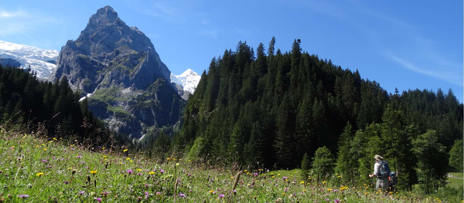 Stunning views across alpine meadows | Jon Millen