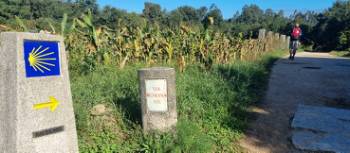 Following the trail signs on the Portuguese Camino | John Parker