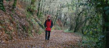 Woodland trail on the Compostela Trail, Tui to Santiago | Janet Oldham