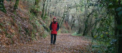 Woodland trail on the Compostela Trail, Tui to Santiago | Janet Oldham