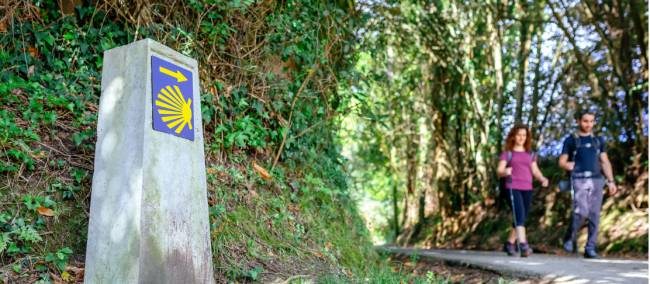 Walking the famous Camino de Santiago
