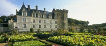 Gardens of Villandry château | Catherine Bibollet