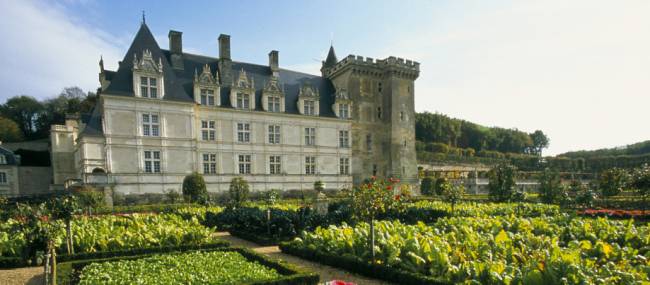 Gardens of Villandry château | Catherine Bibollet
