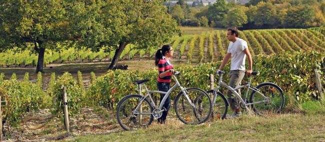 Cyclists in a Sancerre vineyard | Joel Damase