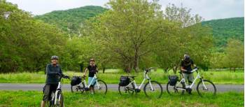 Cyclists taking a break in the Dordogne walnut groves | Rob Mills