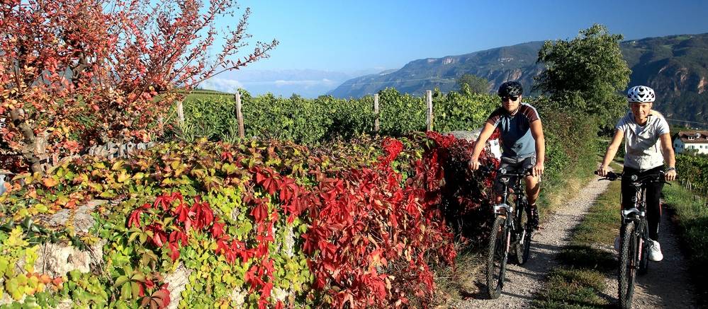 Cyclists near Lake Constance in Germany