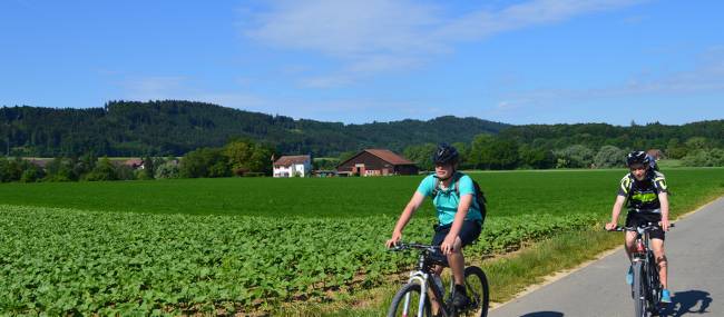 Cycling near Lake Constance, one of our budget friendly trips in Europe