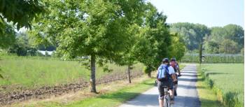 Cycling near Lake Constance | Erin Williams