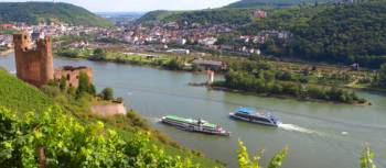 Discover Ehrenfels Castle near Rüdesheim on our Rhine Valley Bike & Barge in Germany