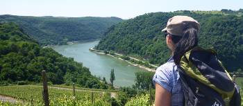 View from the trail on the Rhine