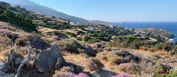 Walk from Batsi to the beach at Agios Petros | Sarah Baxter