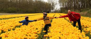 Experience the tulips during Spring when they are in bloom | Richard Tulloch