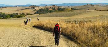 Pilgrims making their way towards Rome on the Via Francigena